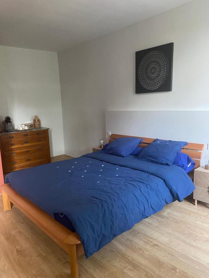 Chambres Et Table D'Hotes Le Cedre Aveyron Sainte-Croix  Eksteriør billede